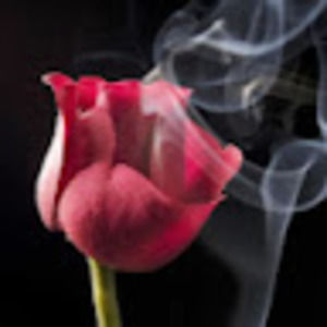 Meet your Posher, Jillian